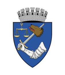 Marosvásárhely, Târgu Mureș