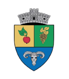 Ceauașu de câmpie, Mezőcsávás