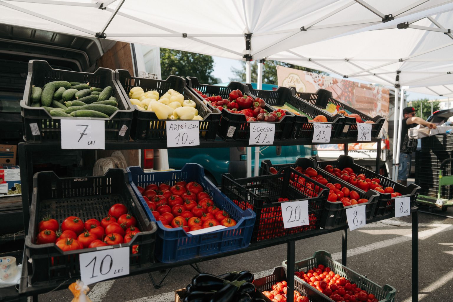 Piața Produselor Metropolitane, Metropolisz Termékek Piaca